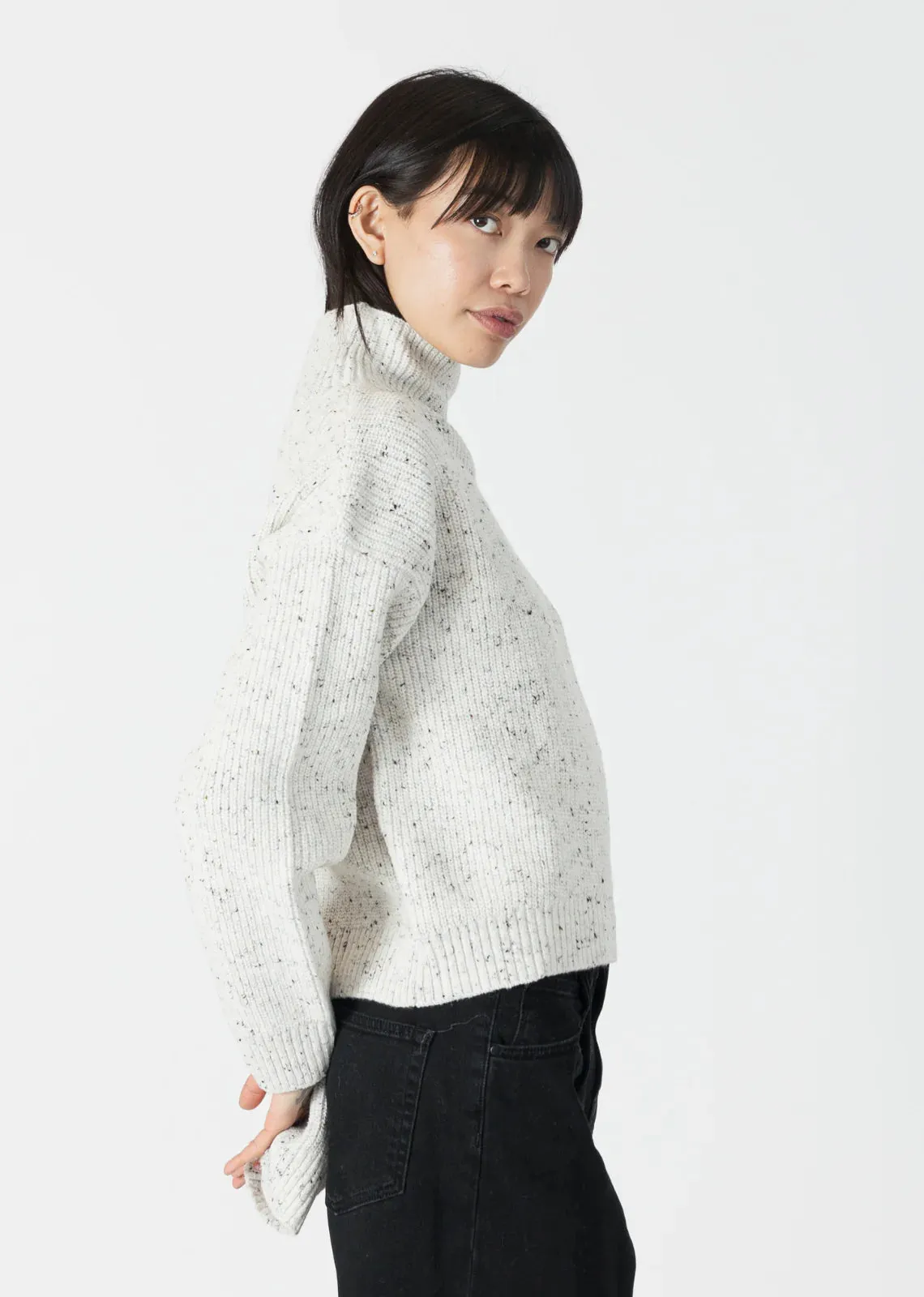 Evolet Sweater (Fleck)