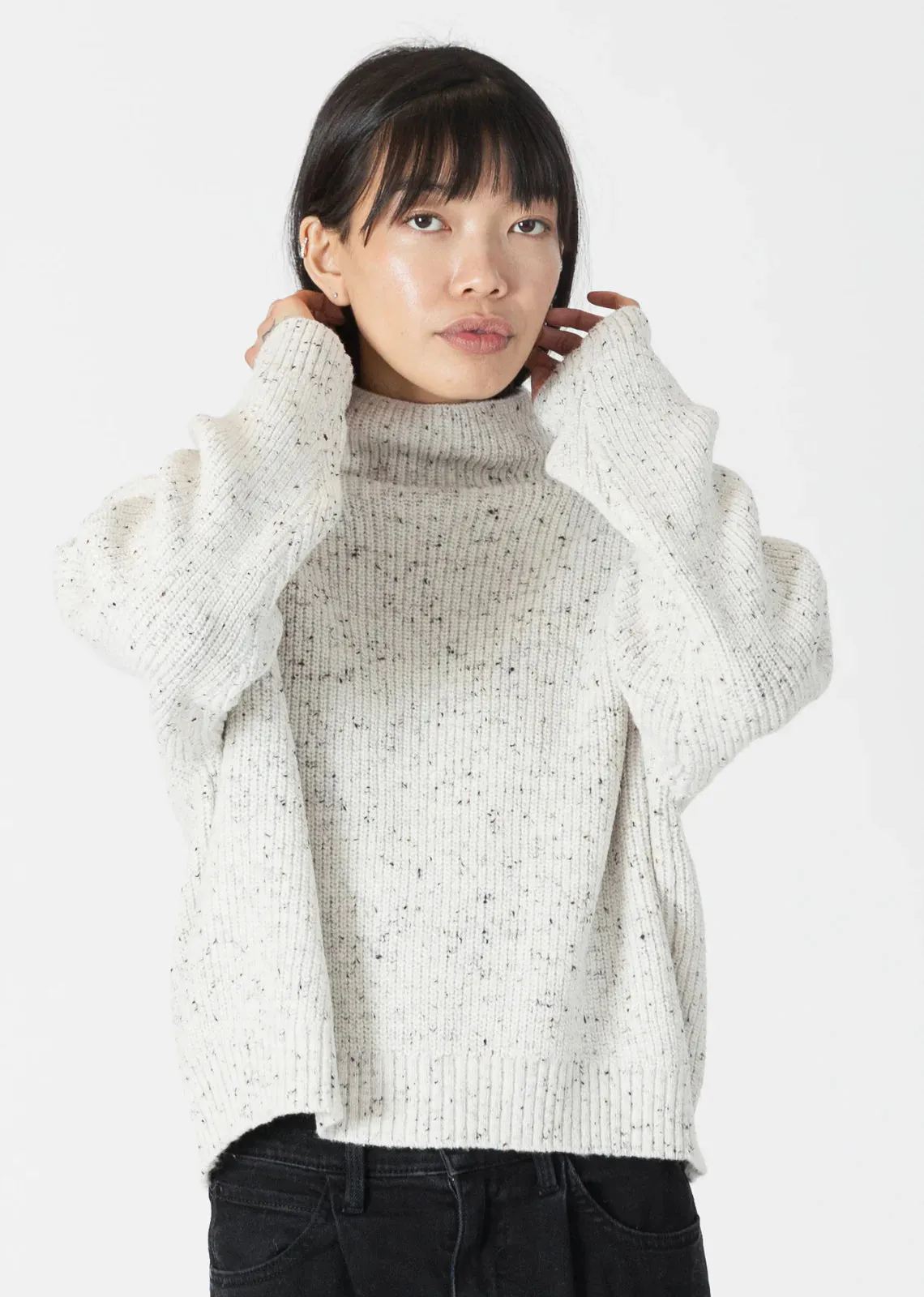 Evolet Sweater (Fleck)