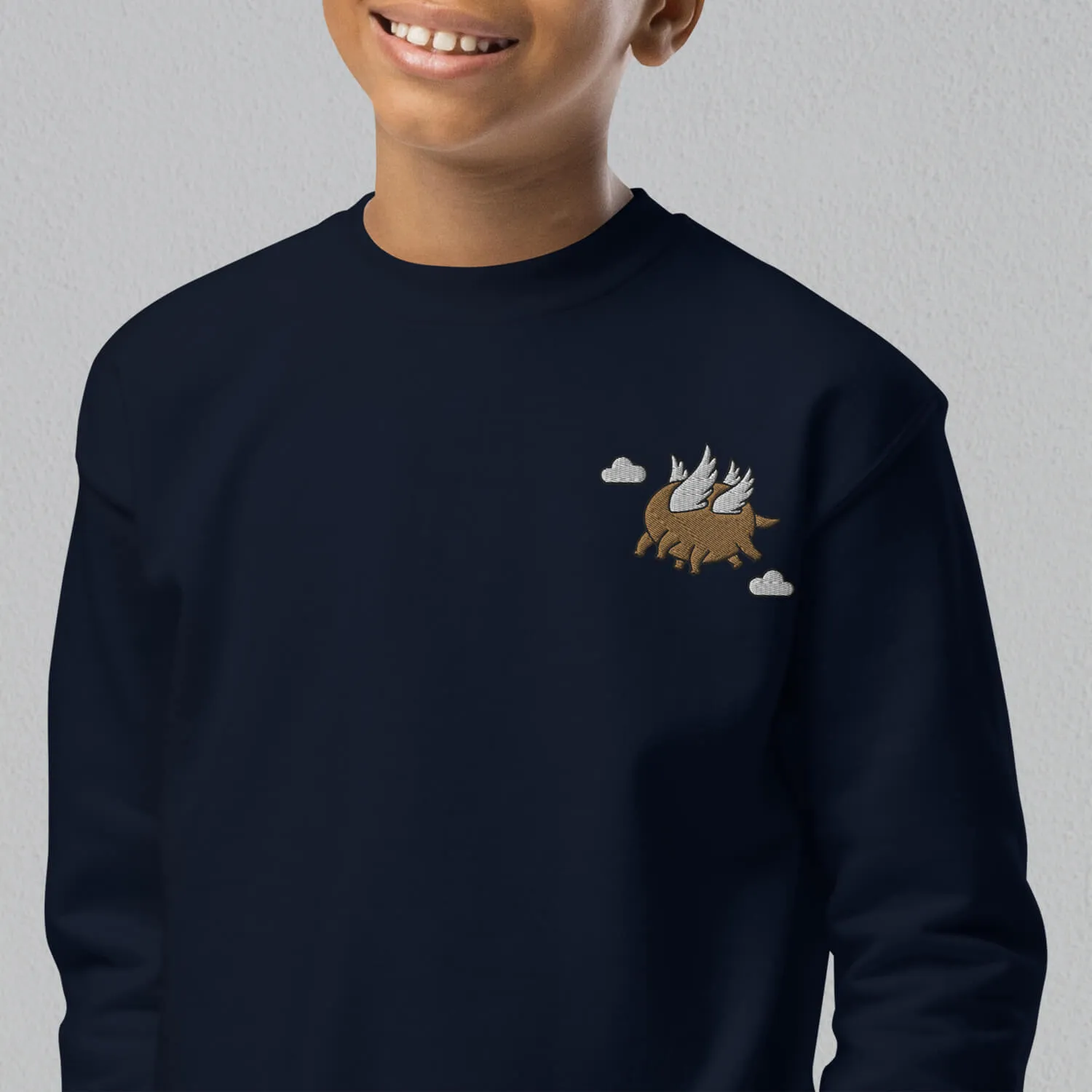 Hundun Embroidered Kids Sweatshirt