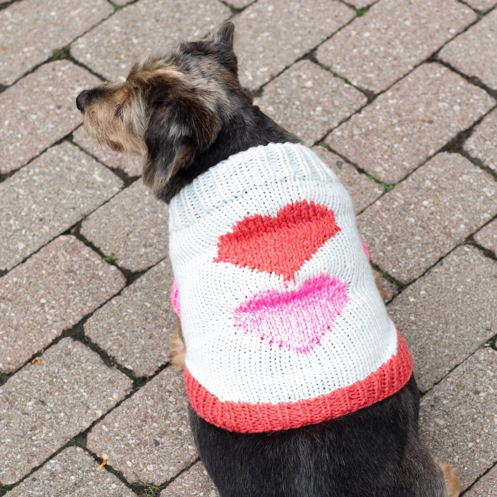 Red Heart Puppy Love Knit Sweater