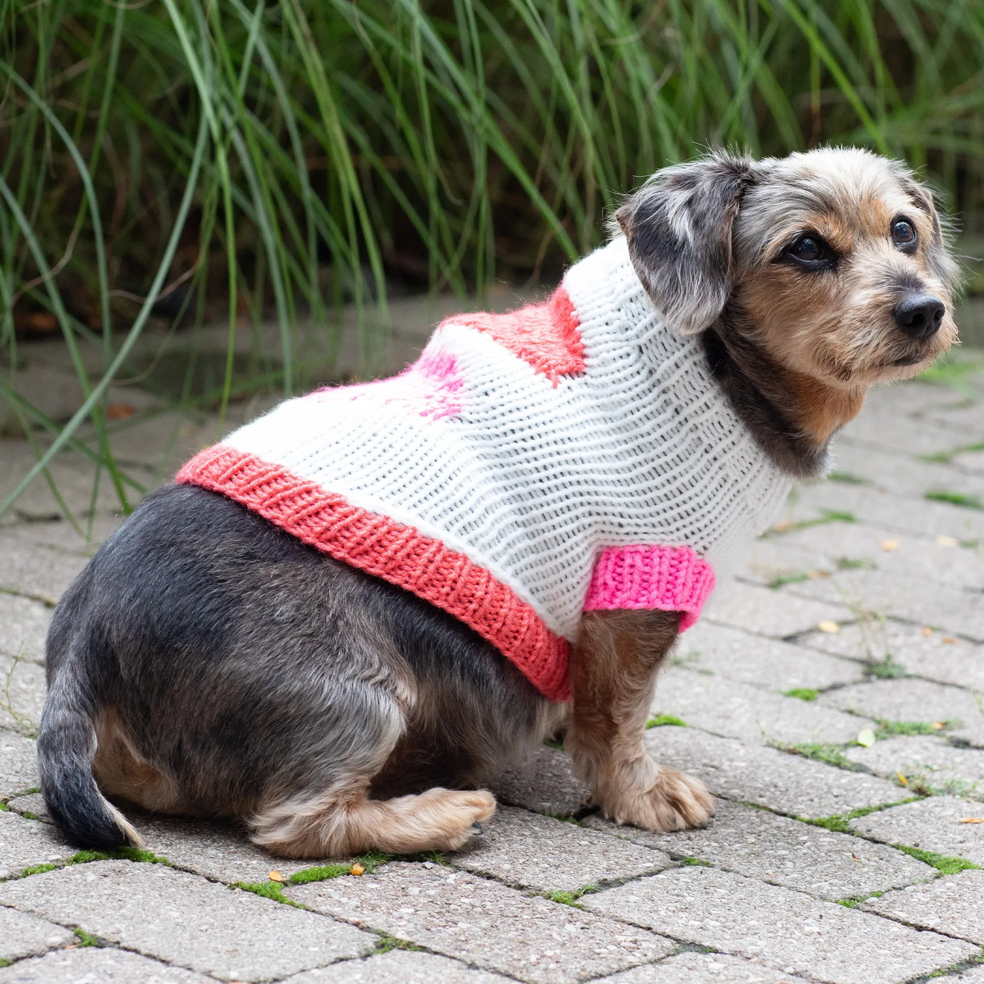 Red Heart Puppy Love Knit Sweater